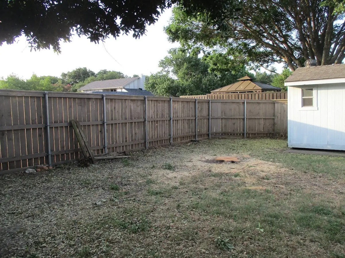 Cleared yard after professional tree removal in El Dorado